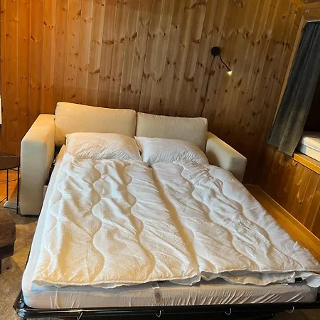 Charming And Modern Ski-in Ski-out בקתה