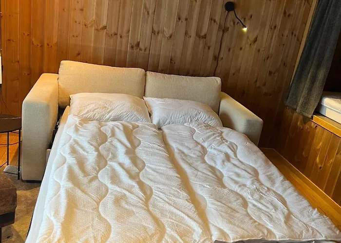 Charming And Modern Ski-in Ski-out Chalé